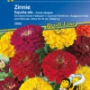 Zinnie Espana Mix | Zinniensamen Von Kiepenkerl 1 Zinnie Espana Mix | Zinniensamen Von Kiepenkerl -Pegasu Samen Geschaft 3505 Zinnie Espana Mix 3965 0