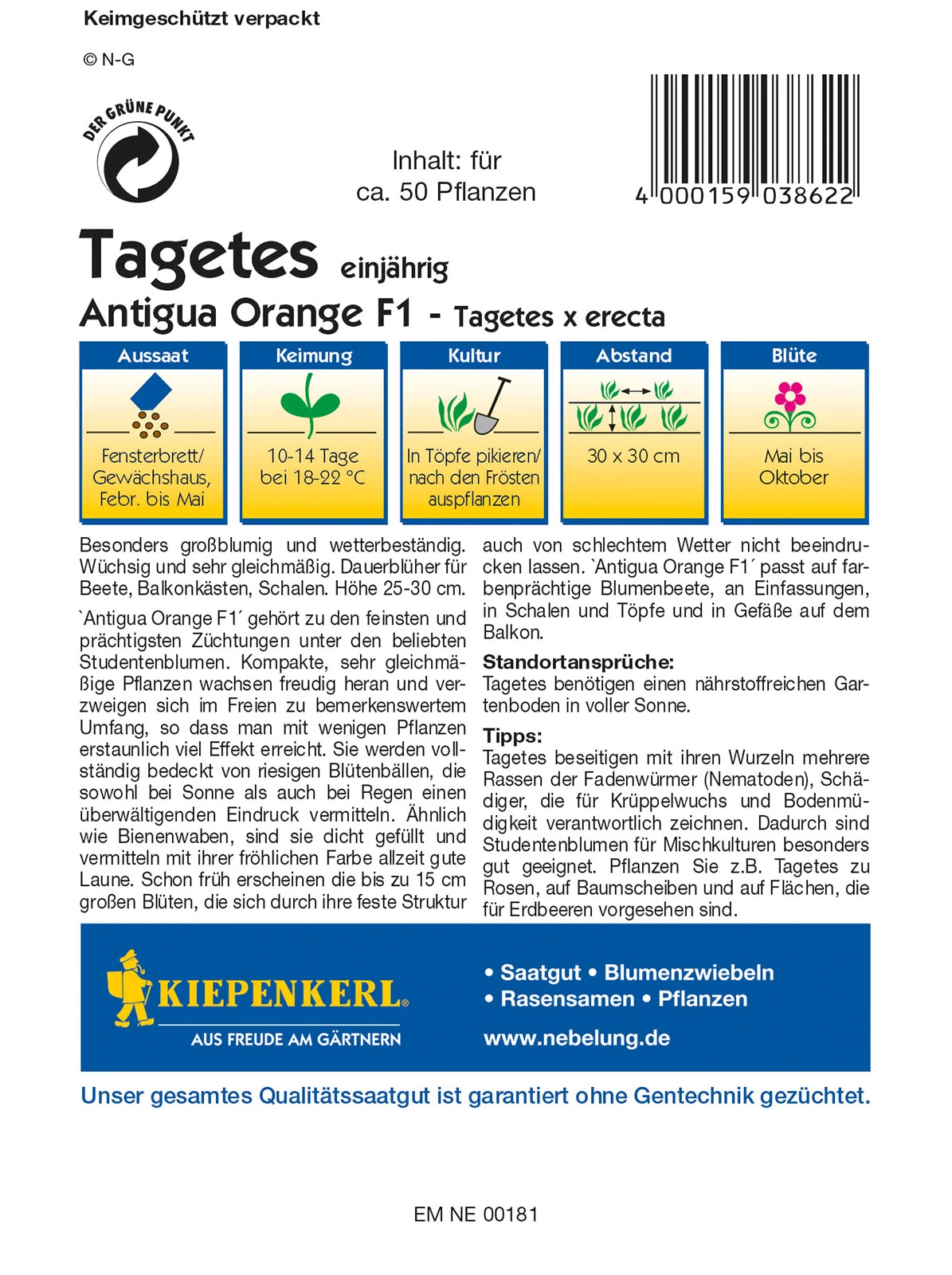 Tagetes Antigua Orange F1 | Studentenblumensamen Von Kiepenkerl 4 Tagetes Antigua Orange F1 | Studentenblumensamen Von Kiepenkerl – Bild 2