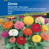 Zinnie Musica | Zinniensamen Von Kiepenkerl 1 Zinnie Musica | Zinniensamen Von Kiepenkerl -Pegasu Samen Geschaft 3562 Zinnie Musica 3929 0