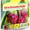 KirschmadenFalle (7 Stück) | Fallen Und Fernhaltemittel Von Neudorff -Pegasu Samen Geschaft 4044 KirschmadenFalle 7 Stueck 00324 0