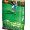 Pegasus Spiel+Sport (2 Kg) | Rasensamen Von Pegasus 2 Pegasus Spiel+Sport (2 Kg) | Rasensamen Von Pegasus -Pegasu Samen Geschaft 528752 Pegasus Spiel Sport 2 kg 622364 0