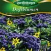 Duftblumen Schokolade Mit Sahne | Blumensamenmischung Von Quedlinburger 2 Duftblumen Schokolade Mit Sahne | Blumensamenmischung Von Quedlinburger -Pegasu Samen Geschaft 532106 Duftblumen Schokolade mit Sahn von Quedlinb