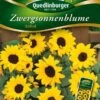 Zwergsonnenblumen Ballad | Sonnenblumensamen Von Quedlinburger -Pegasu Samen Geschaft 532174 Zwergsonnenblumen Ballad von Quedlinburger
