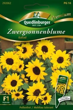 Zwergsonnenblumen Ballad | Sonnenblumensamen Von Quedlinburger