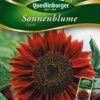 Sonnenblumen Claret | Sonnenblumensamen Von Quedlinburger 2 Sonnenblumen Claret | Sonnenblumensamen Von Quedlinburger -Pegasu Samen Geschaft 532177 Sonnenblumen Claret von Quedlinburger Saatg