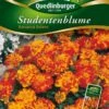 Studentenblumen Bonanza Bolero | Studentenblumensamen Von Quedlinburger -Pegasu Samen Geschaft 532193 Studentenblumen Bonanza Bolero von Quedlinb