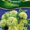 Zinnien Green Envy | Zinniensamen Von Quedlinburger -Pegasu Samen Geschaft 532212 Zinnien Green Envy von Quedlinburger Saatgu