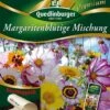 Margeritenblütige Mischung | Margeritensamen Von Quedlinburger -Pegasu Samen Geschaft 532269 Margeritenbluetige Mischung von Quedlinburg