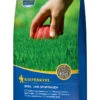 Sport - Und Spielrasen (1 Kg) | Sportrasen Von Kiepenkerl -Pegasu Samen Geschaft 532553 Sport und Spielrasen 1 kg 651258 0