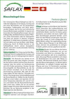 Blauschwingel Gras | Gräsersamen Von Saflax