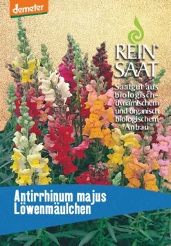 Löwenmäulchen Niedrig | BIO Löwenmaulsamen Von Reinsaat