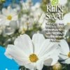 Cosmea Weiß | BIO Cosmeasamen Von Reinsaat -Pegasu Samen Geschaft 535931 BIO Cosmea weiss B21 rs 0