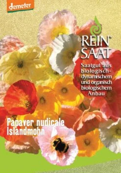 Islandmohn | BIO Mohnsamen Von Reinsaat