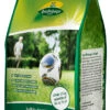 Spiel- &amp; Sportrasen 2,5 Kg | Sportrasen Von Quedlinburger -Pegasu Samen Geschaft 536252 Rasensamen Spiel und Sportrasen 2 5 kg