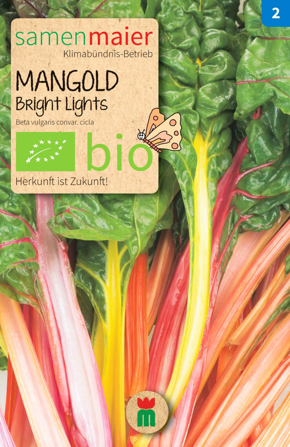 Beet-Box "Für Die Gartenfee" | BIO Gemüsesamen-Sets Von Samen Maier 4 Beet-Box "Für Die Gartenfee" | BIO Gemüsesamen-Sets Von Samen Maier – Bild 2