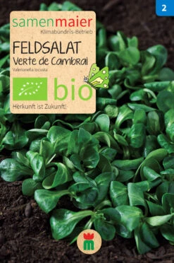 Beet-Box "Für Smoothie-Maker" | BIO Gemüsesamen-Sets Von Samen Maier 12 Beet-Box "Für Smoothie-Maker" | BIO Gemüsesamen-Sets Von Samen Maier -Pegasu Samen Geschaft 536710 BIO Beet Box Fuer Smoothie Maker BB12 sm 1