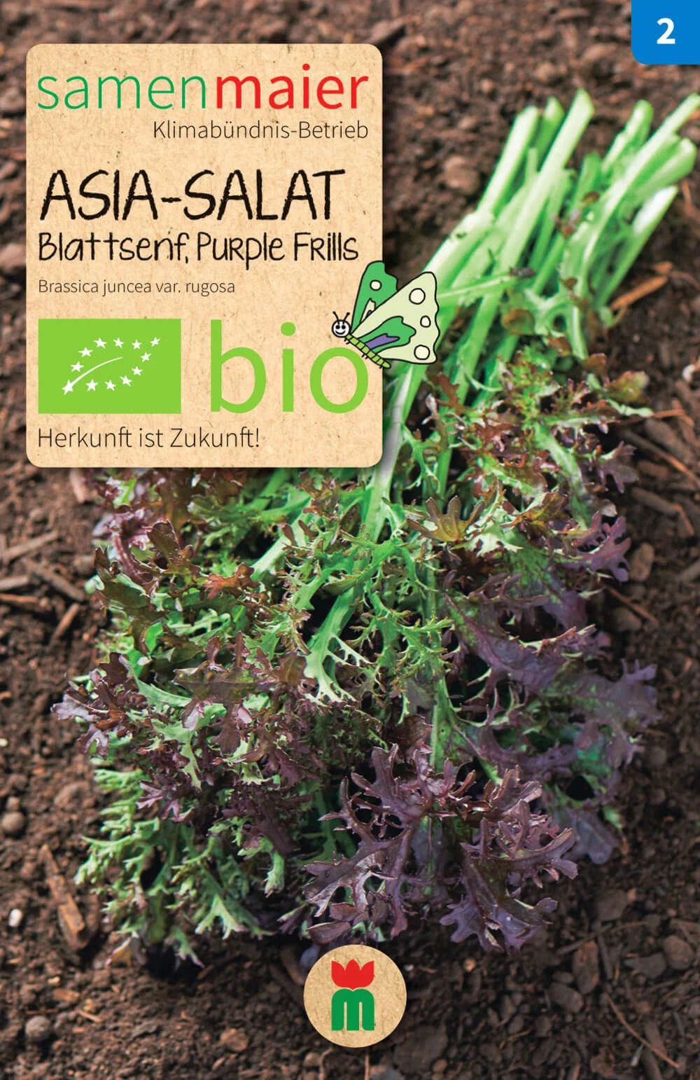 Beet-Box "Für Asia Köche" | BIO Gemüsesamen-Sets Von Samen Maier 3 Beet-Box "Für Asia Köche" | BIO Gemüsesamen-Sets Von Samen Maier