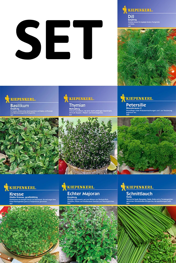 Kräutersamen - 7 Kräuter - Set | Kräutersamen-Sets Von Kiepenkerl 3 Kräutersamen - 7 Kräuter - Set | Kräutersamen-Sets Von Kiepenkerl