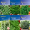 Kräuter - Saat - Sortiment Mit 9 Sorten | Kräutersamen-Sets Von Kiepenkerl -Pegasu Samen Geschaft 536765 Saat Sortiment Kraeuter 9 Sorten von Kiep 1