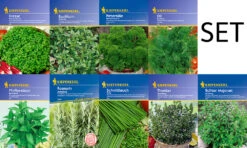 Kräuter - Saat - Sortiment Mit 9 Sorten | Kräutersamen-Sets Von Kiepenkerl