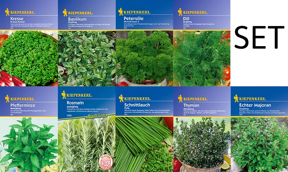 Kräuter - Saat - Sortiment Mit 9 Sorten | Kräutersamen-Sets Von Kiepenkerl 3 Kräuter - Saat - Sortiment Mit 9 Sorten | Kräutersamen-Sets Von Kiepenkerl