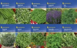 Kräuter - Saat - Sortiment Mit 10 Sorten | Kräutersamen-Sets Von Kiepenkerl