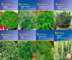 Kräuter-Saat-Sortiment Mit 8 Sorten | Kräutersamen Von Kiepenkerl