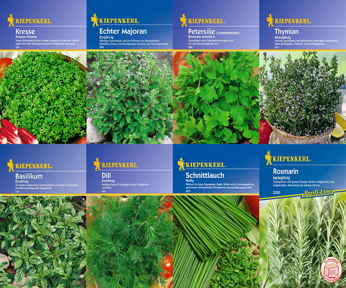 Kräuter-Saat-Sortiment Mit 8 Sorten | Kräutersamen Von Kiepenkerl 3 Kräuter-Saat-Sortiment Mit 8 Sorten | Kräutersamen Von Kiepenkerl