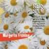 Margerite Frühling | BIO Margeritensamen Von Reinsaat 2 Margerite Frühling | BIO Margeritensamen Von Reinsaat -Pegasu Samen Geschaft 540556 BIO Margerite Fruehling B91 rs 0