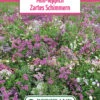 Blumenwiese Mini Teppich Zartes Schimmern (100 G) | Blumensamen Von Bertrand -Pegasu Samen Geschaft 540953 Blumenwiese Mini Teppich Zartes Schimmern 100 g