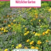 Blumenwiese "Die Essbaren Blumen" (100 G) | Blumensamen Von Bertrand 1 Blumenwiese "Die Essbaren Blumen" (100 G) | Blumensamen Von Bertrand -Pegasu Samen Geschaft 540960 Blumenwiese Pfarrgarten 100 g