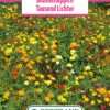 Blumenwiese Blumenteppich Tausendlichter (100 G) | Blumensamen Von Bertrand 2 Blumenwiese Blumenteppich Tausendlichter (100 G) | Blumensamen Von Bertrand -Pegasu Samen Geschaft 540967 Blumenwiese Tausend Lichter 100 g