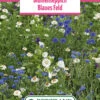Blumenwiese Blumenteppich Blaues Feld (100 G) | Blumensamen Von Bertrand -Pegasu Samen Geschaft 540968 Blumenwiese Blumenteppich Blaues Feld 100 g