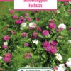 Blumenwiese Blumenteppich Fuchsias (100 G) | Blumensamen Von Bertrand 1 Blumenwiese Blumenteppich Fuchsias (100 G) | Blumensamen Von Bertrand -Pegasu Samen Geschaft 540976 Blumenwiese Blumenteppich Fuchsias 100 g