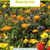Blumenwiese Ackerwildkräutern (100 G) | Blumensamen Von Bertrand -Pegasu Samen Geschaft 540992 Blumenwiese Blumen der Ernten 100 g