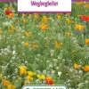 Blumenwiese Blumen Für Straßenkanten (100 G) | Blumensamen Von Bertrand -Pegasu Samen Geschaft 540996 Blumenwiese Wegbegleiter 100 g