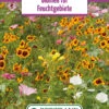 Blumenwiese Feuchtgebiet (Rückhaltebecken) (100 G) | Blumensamen Von Bertrand -Pegasu Samen Geschaft 540998 Blumenwiese Feuchtgebiet 100 g
