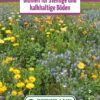 Blumenwiese Blumen Für Steinige Und Kalkhaltige Böden (100 G) | Blumensamen Von Bertrand -Pegasu Samen Geschaft 540999 Blumenwiese Blumen fuer steinige und kalkhaltige Boeden 100 g