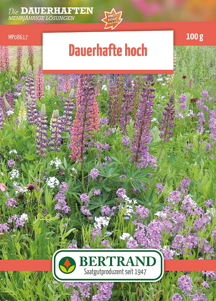 Blumenwiese Mehrjährige Hohe Stauden (100 G) | Blumensamen Von Bertrand 3 Blumenwiese Mehrjährige Hohe Stauden (100 G) | Blumensamen Von Bertrand