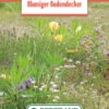 Blumenwiese Blumiger Bodendecker Für Gründächer (100 G) | Blumensamen Von Bertrand