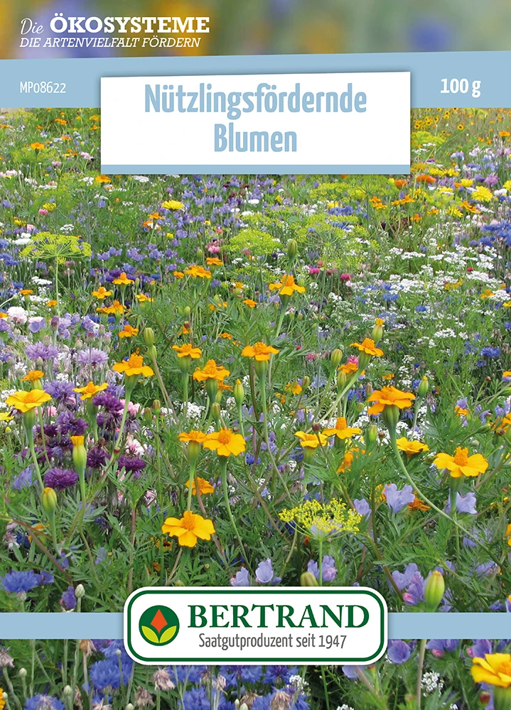 Blumenwiese Blumen Für Nützlinge (100 G) | Blumensamen Von Bertrand 3 Blumenwiese Blumen Für Nützlinge (100 G) | Blumensamen Von Bertrand