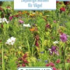 Blumenwiese Einjährige Blumen Für Vögel (100 G) | Blumensamen Von Bertrand -Pegasu Samen Geschaft 541008 Blumenwiese Einjaehrige Blumen fuer Voegel 100 g