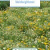 Blumenwiese Blumen Der Weinberge (100 G) | Blumensamen Von Bertrand -Pegasu Samen Geschaft 541018 Blumenwiese Weinbergblumen 100 g