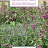 Blumenwiese Staudenmischung Für Schatten &amp; Lichtungen (100 G) | Blumensamen Von Bertrand -Pegasu Samen Geschaft 541025 Blumenwiese Blumen aus der Natur Schatten und Lichtungen 100 g