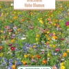 Blumenwiese Brachland Hohe Blumen (100 G) | Blumensamen Von Bertrand 2 Blumenwiese Brachland Hohe Blumen (100 G) | Blumensamen Von Bertrand -Pegasu Samen Geschaft 541027 Blumenwiese Brachland Hohe Blumen 100 g