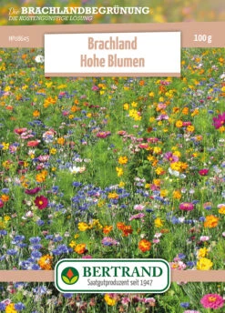 Blumenwiese Brachland Hohe Blumen (100 G) | Blumensamen Von Bertrand
