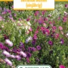 Blumenwiese Duftende Blumen (einjährig) (100 G) | Blumensamen Von Bertrand -Pegasu Samen Geschaft 541033 Blumenwiese Duftende Blumen einjaehrig 100 g
