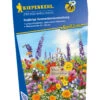 Zwergenmischung (30 G) | Blumensamenmischung Von Kiepenkerl -Pegasu Samen Geschaft 542302 Zwergenmischung 30 g 4964 0