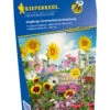 Einjährige Sommerblumenmischung (30 G) | Blumenwiese Von Kiepenkerl -Pegasu Samen Geschaft 542303 Einjaehrige Sommerblumenmischung 30 g 4965 0