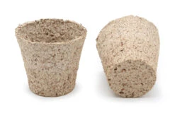 6 Cm Anzuchttopf Kokos Rund (2592 Stück) | Anzuchttöpfe Von Jiffy -Pegasu Samen Geschaft 542628 6 cm Anzuchttopf aus Kokos rund 2592 Stueck 30812200 jf 0